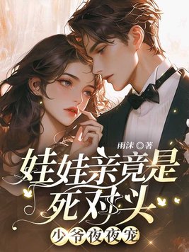 娃娃亲竟是死对头,少爷夜夜宠